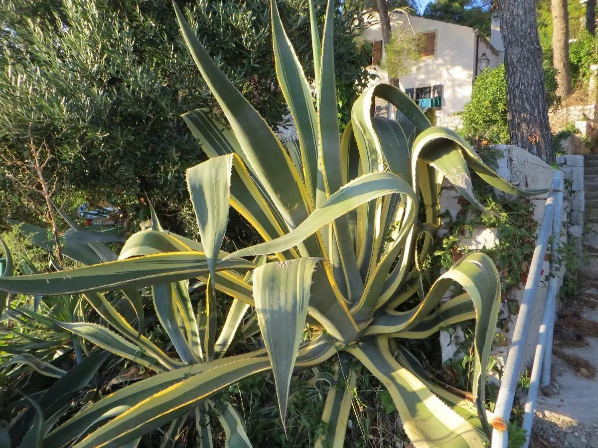 Apartment Sunshine Mali Losinj