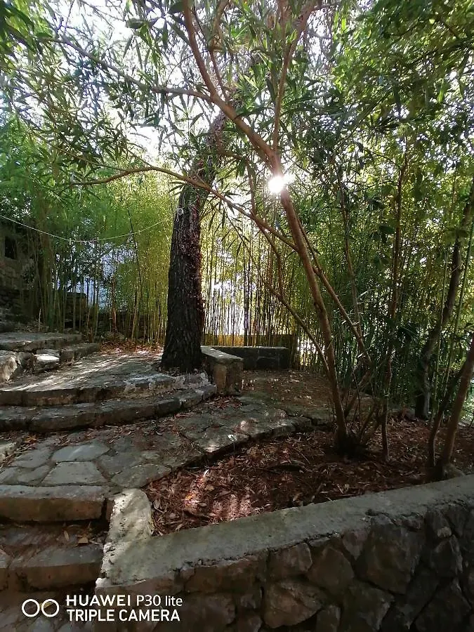 Apartment Sunshine Mali Losinj Croatia